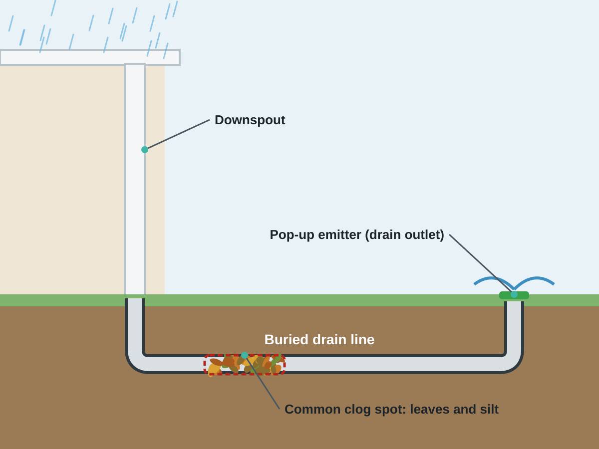 Diagram of a downspout connected to a buried pipe that runs downhill across a yard to a pop-up emitter, with a clog of seed pods and leaves shown inside the pipe. Diagram: roof water should go down, then away from the house, and clogs can hide underground.