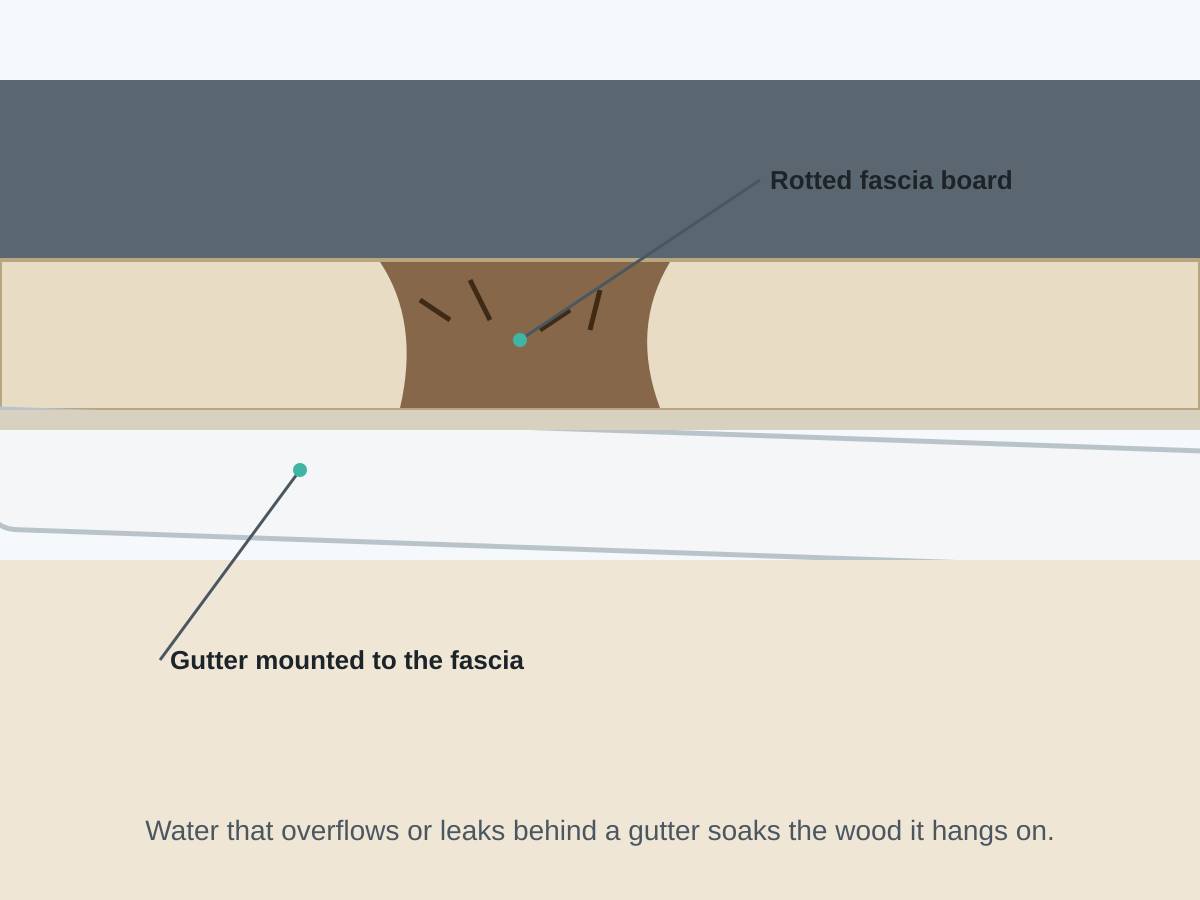 Illustration of a fascia board with dark, rotted wood behind a gutter and water running down behind it. Illustration: water behind the gutter softens the fascia until fasteners lose their grip.