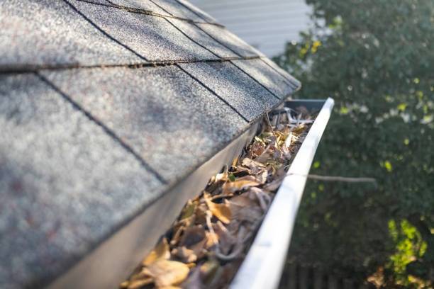 Close-up of a gutter packed with wet brown leaves and pine needles. Stock photo: gutters should be fully cleaned and checked before guards go on.